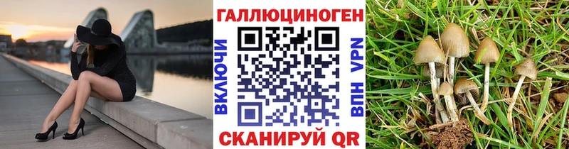 Псилоцибиновые грибы Psilocybe Яблоновский